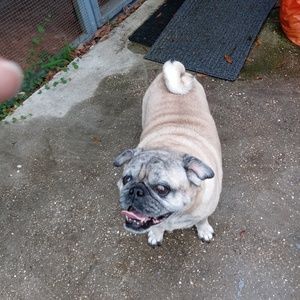 Meet your Posher, Eve